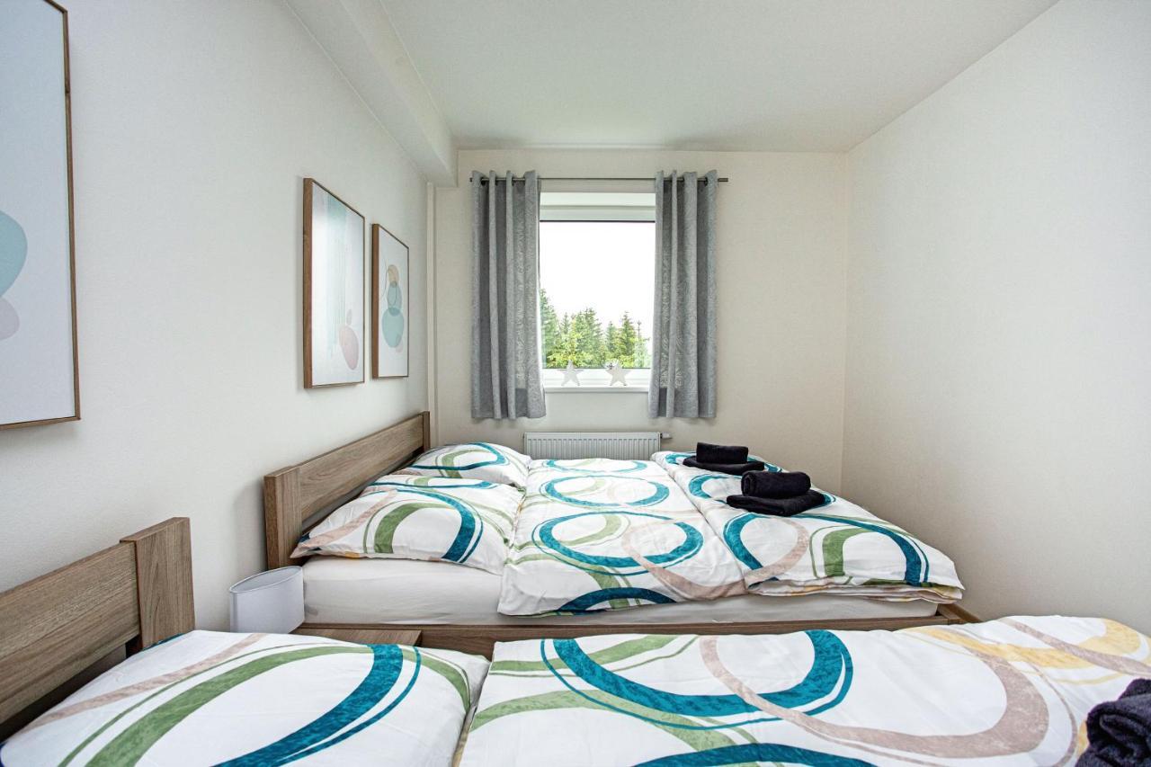 Green Apartment Klinovec By Mountain Ways Loučná pod Klínovcem Dış mekan fotoğraf