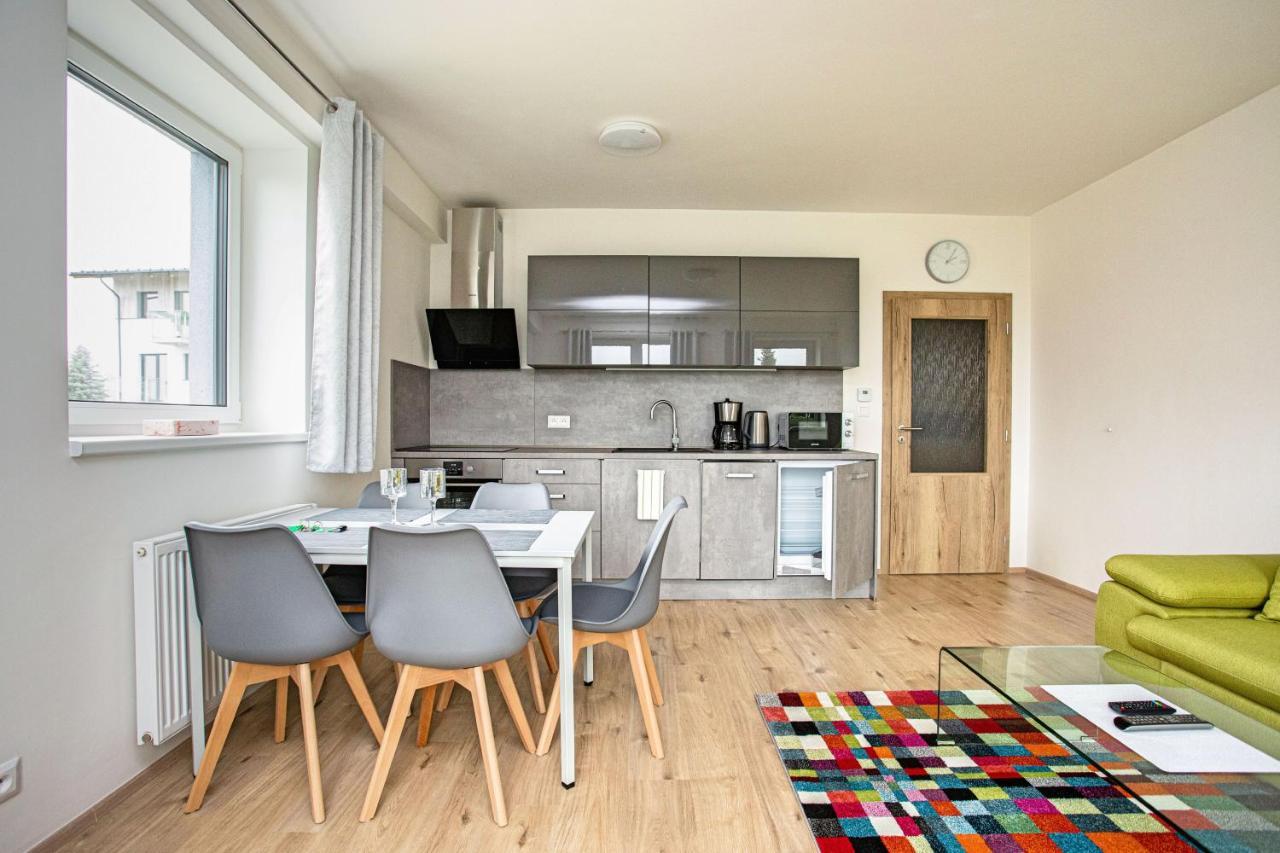 Green Apartment Klinovec By Mountain Ways Loučná pod Klínovcem Dış mekan fotoğraf