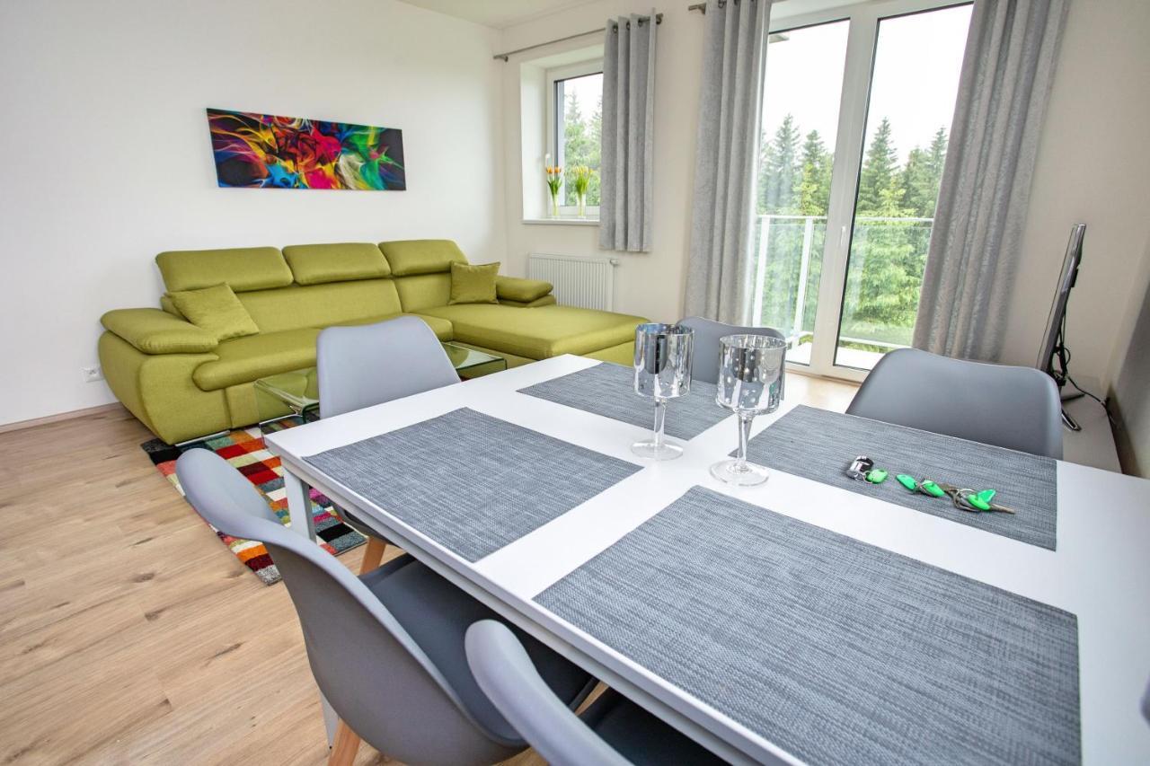 Green Apartment Klinovec By Mountain Ways Loučná pod Klínovcem Dış mekan fotoğraf