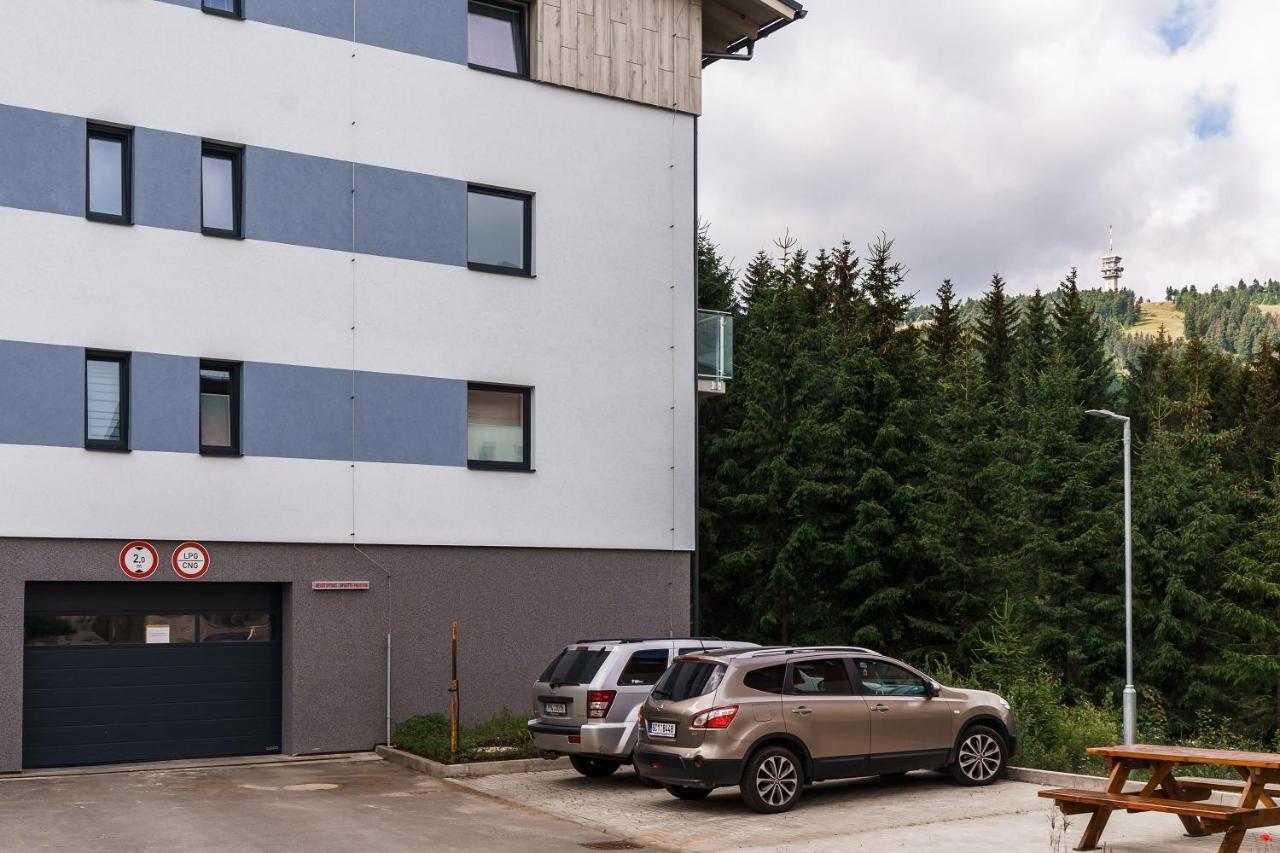 Green Apartment Klinovec By Mountain Ways Loučná pod Klínovcem Dış mekan fotoğraf
