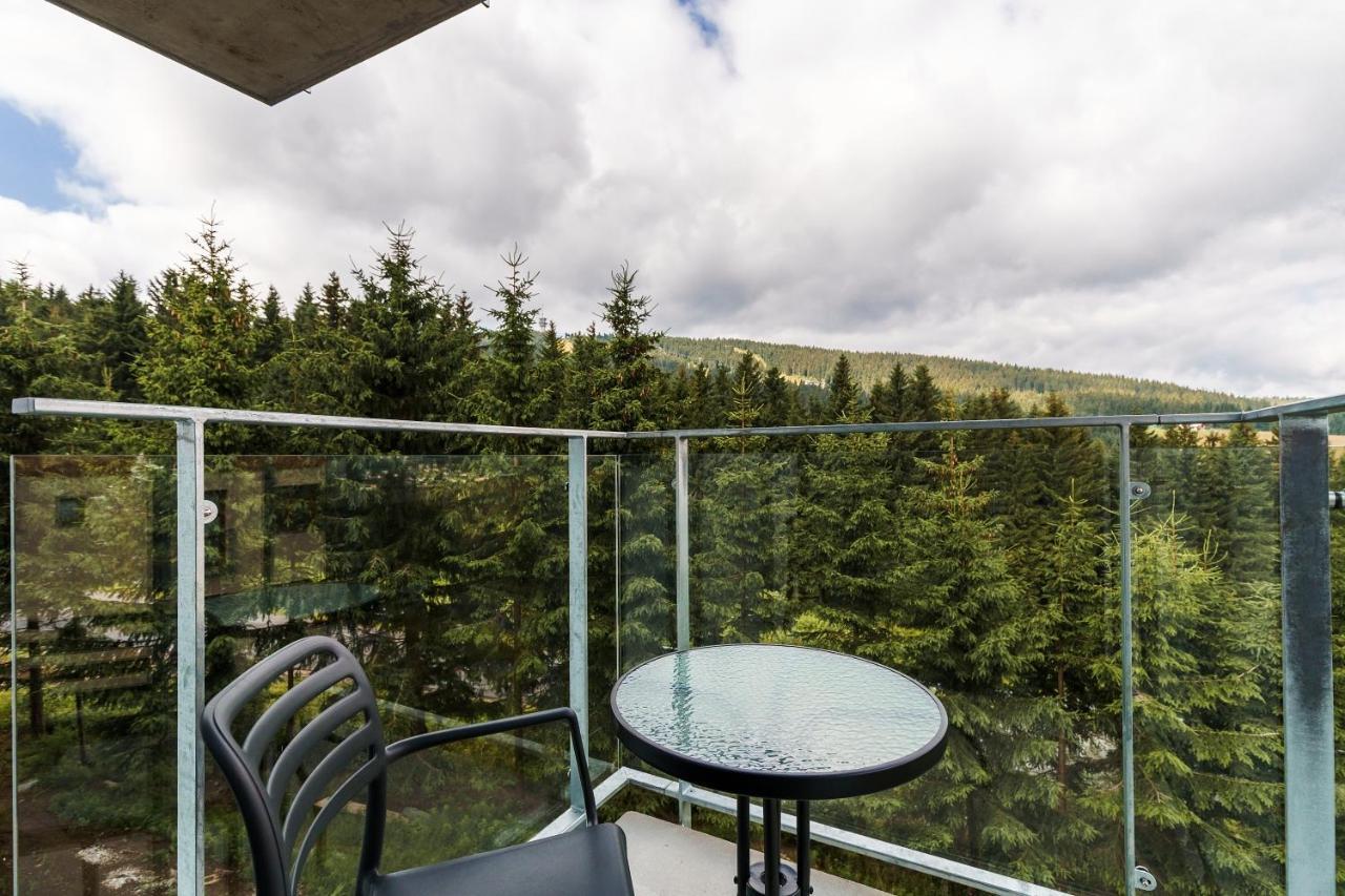 Green Apartment Klinovec By Mountain Ways Loučná pod Klínovcem Dış mekan fotoğraf